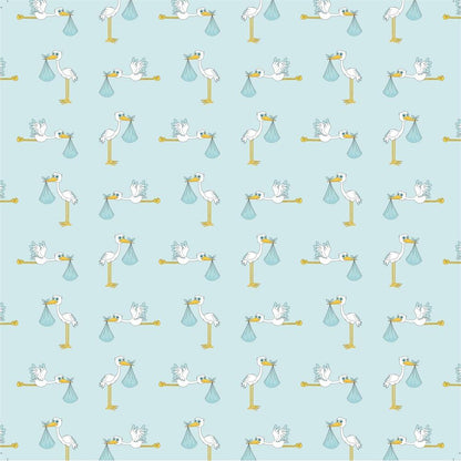 Baby Boy  Cardstock Pack 12&quot; / Paquete de 12 Hojas de Cartulina Bebé Niño Papel Little Birdie