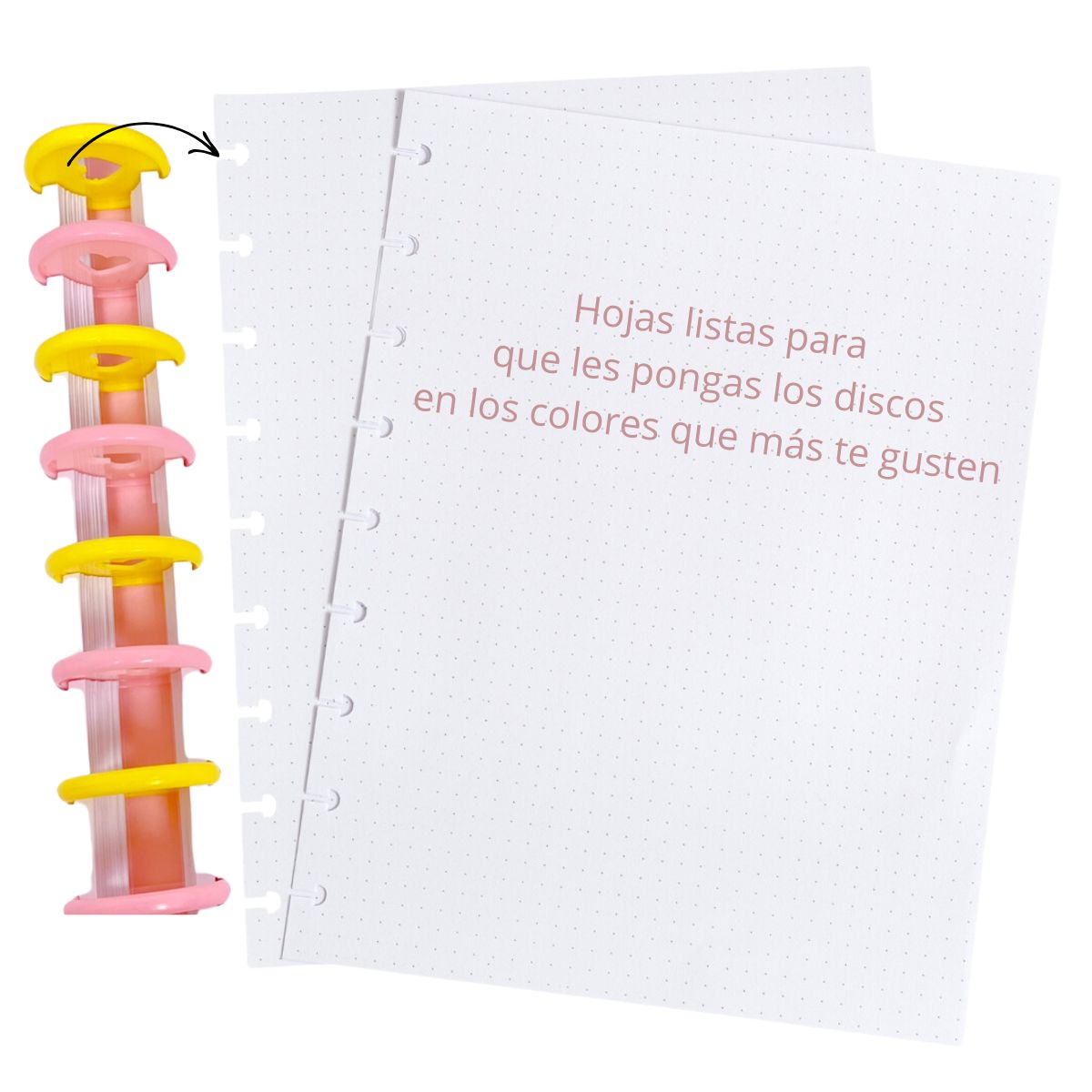 Planner Sheets  / 80 Hojas para Encuadernación con Discos Encuadernacion Maggie Holmes