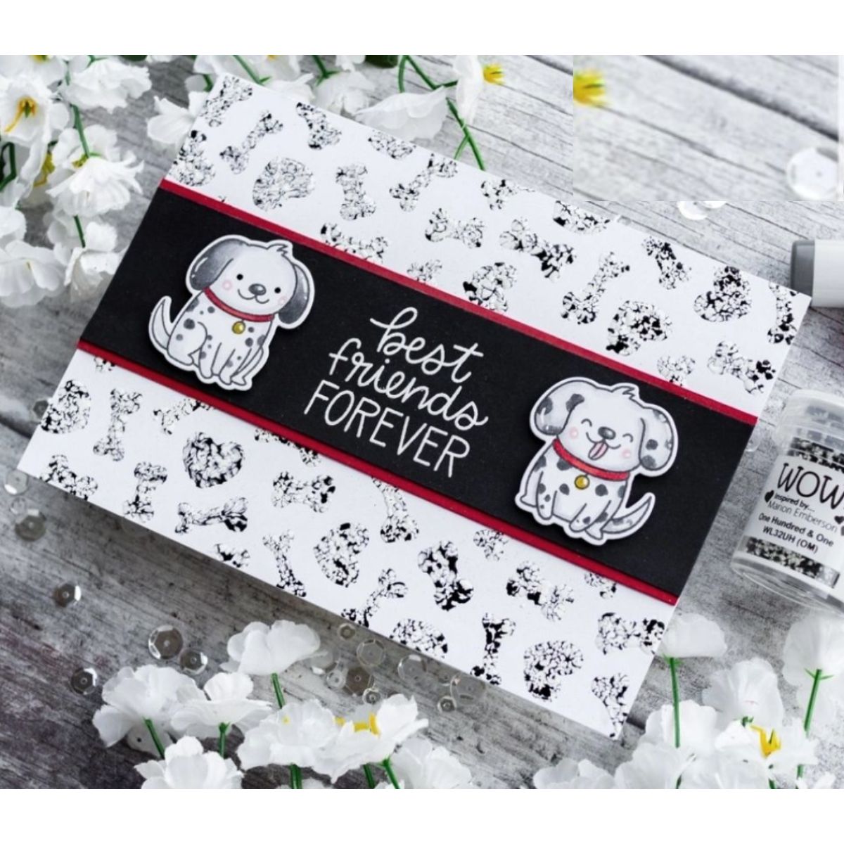 One Hundred &amp; One Embossing Powder / Polvo de Embossing Ciento Uno Polvos de Embossing Wow!