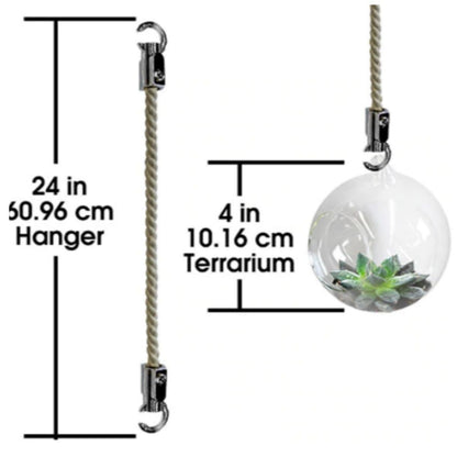 Mini Blown Glass Hanging Terrarium / Terrario Colgante Adornos / Embellishments Pepperell