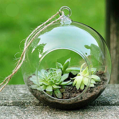 Mini Blown Glass Hanging Terrarium / Terrario Colgante Adornos / Embellishments Pepperell