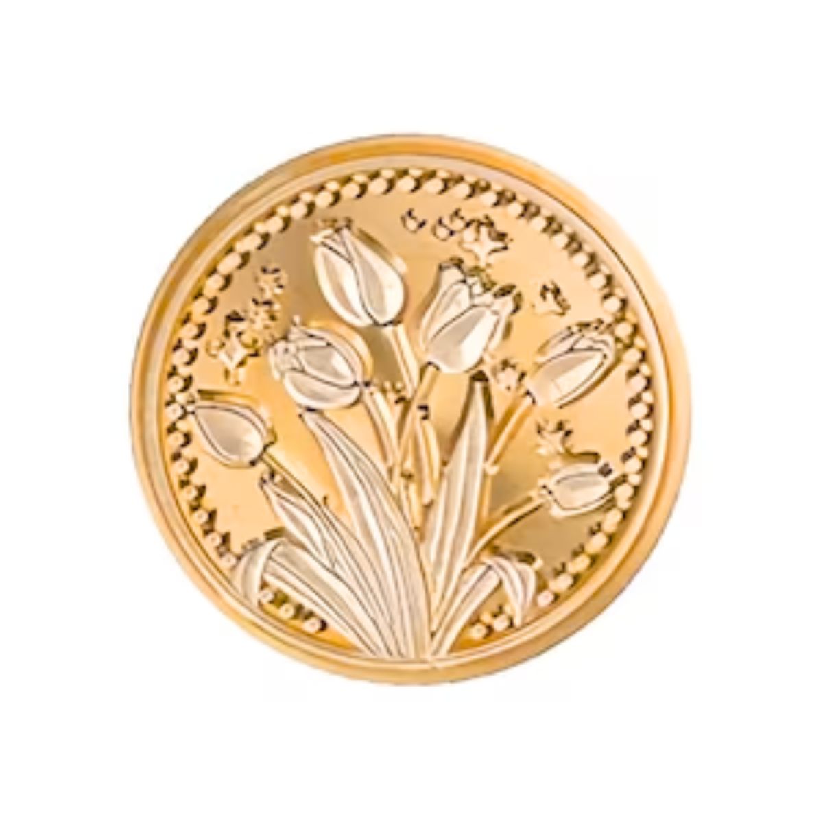 Kit Completo para Lacre Adornos / Embellishments Hobbees