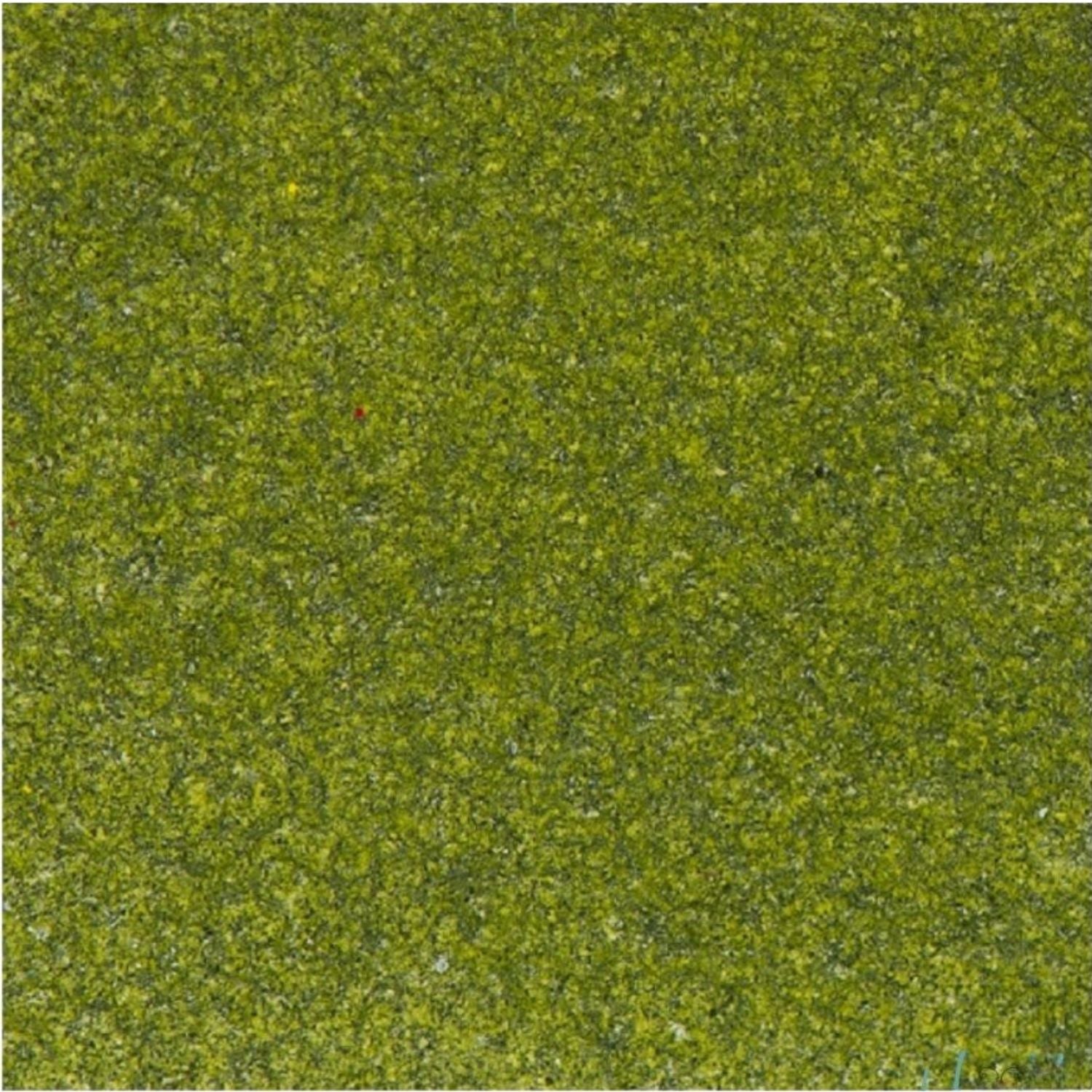 Olive Embossing Powder / Polvo de Embossing Oliva Opaco Polvos de Embossing Wow!