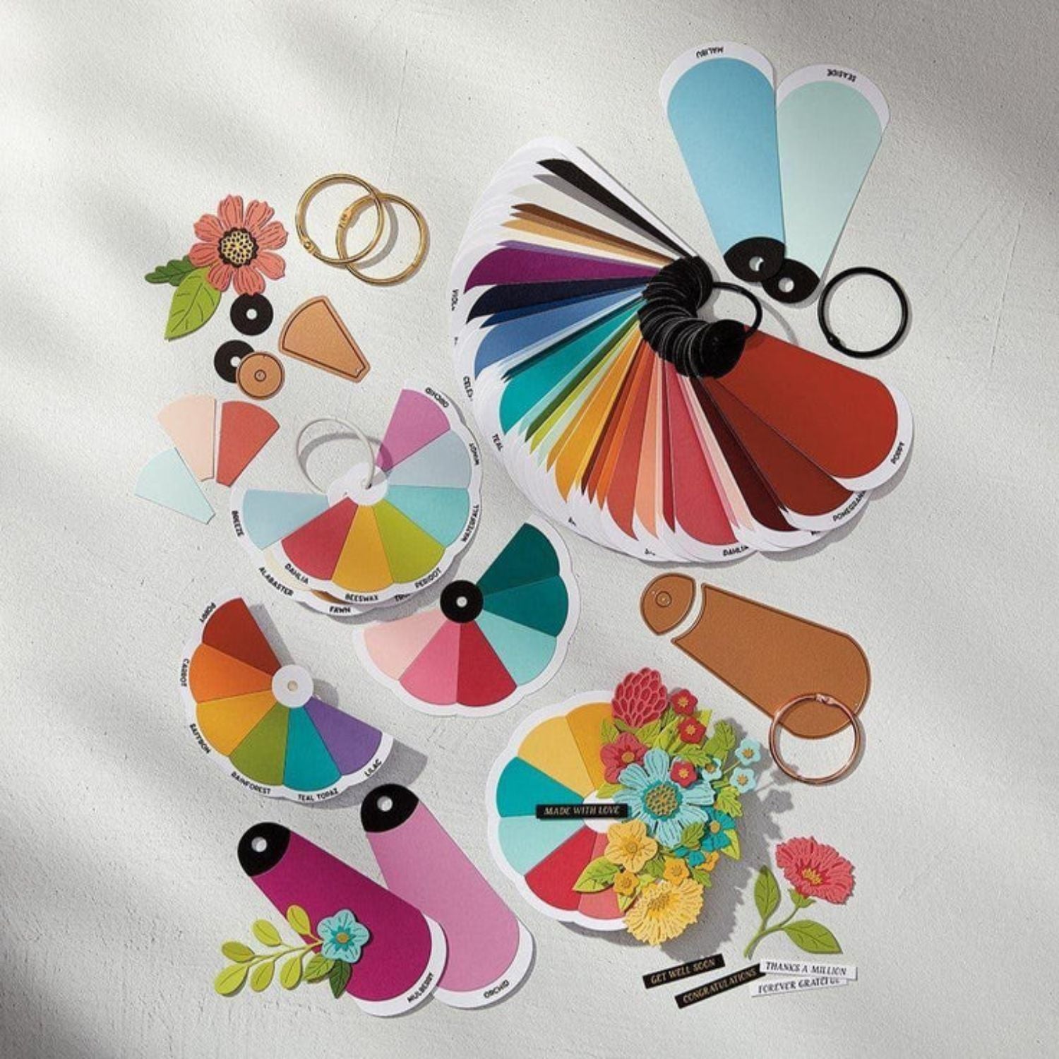 Color Swatch Petal Cutting Dies / Suajes Grabados Petalos De Muestra De Color Dados de Corte / Suajes / Troqueles Spellbinders