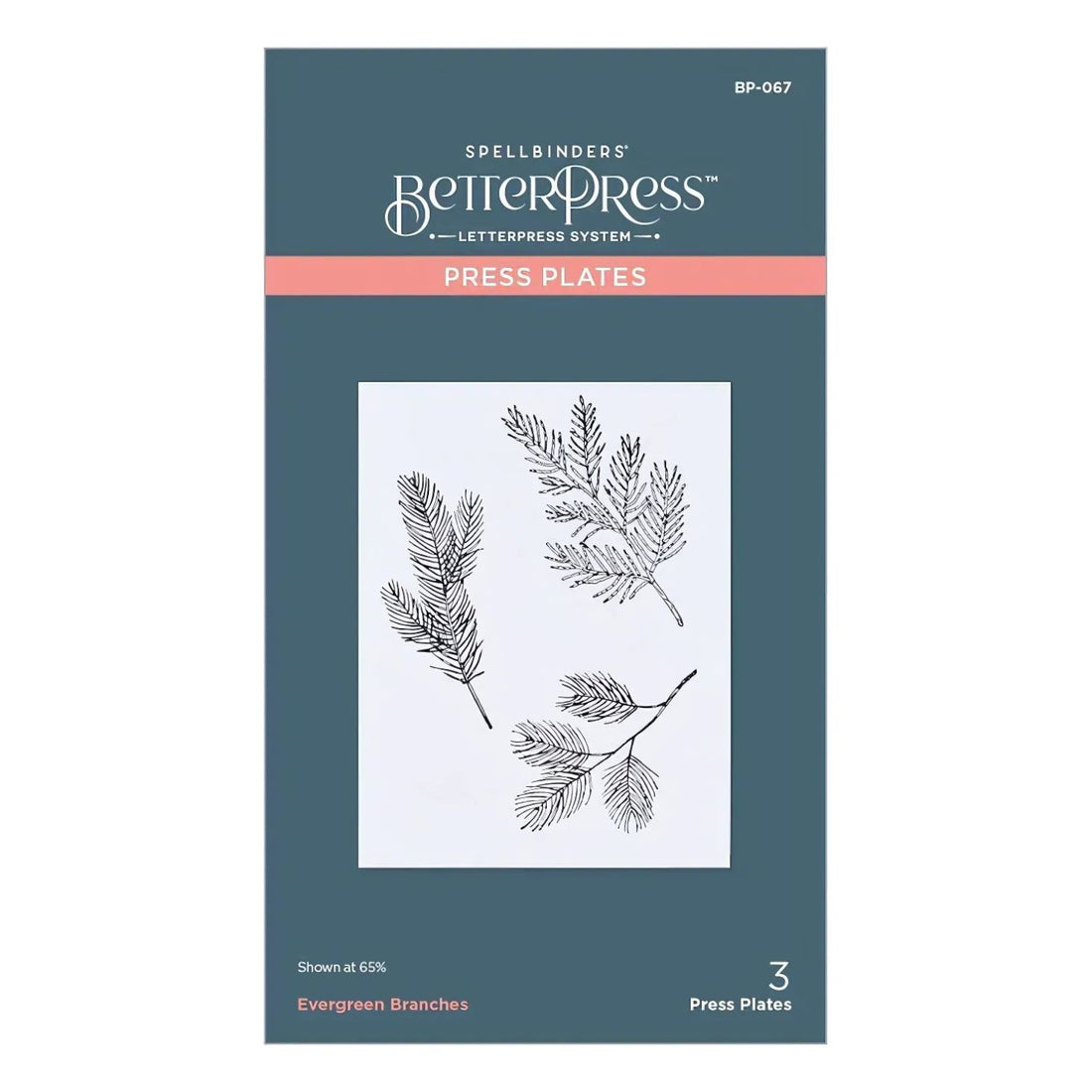 Evergreen Braches Press Plate / Placa De Prensa Ramas Perennes Accesorios para Suajadoras Spellbinders