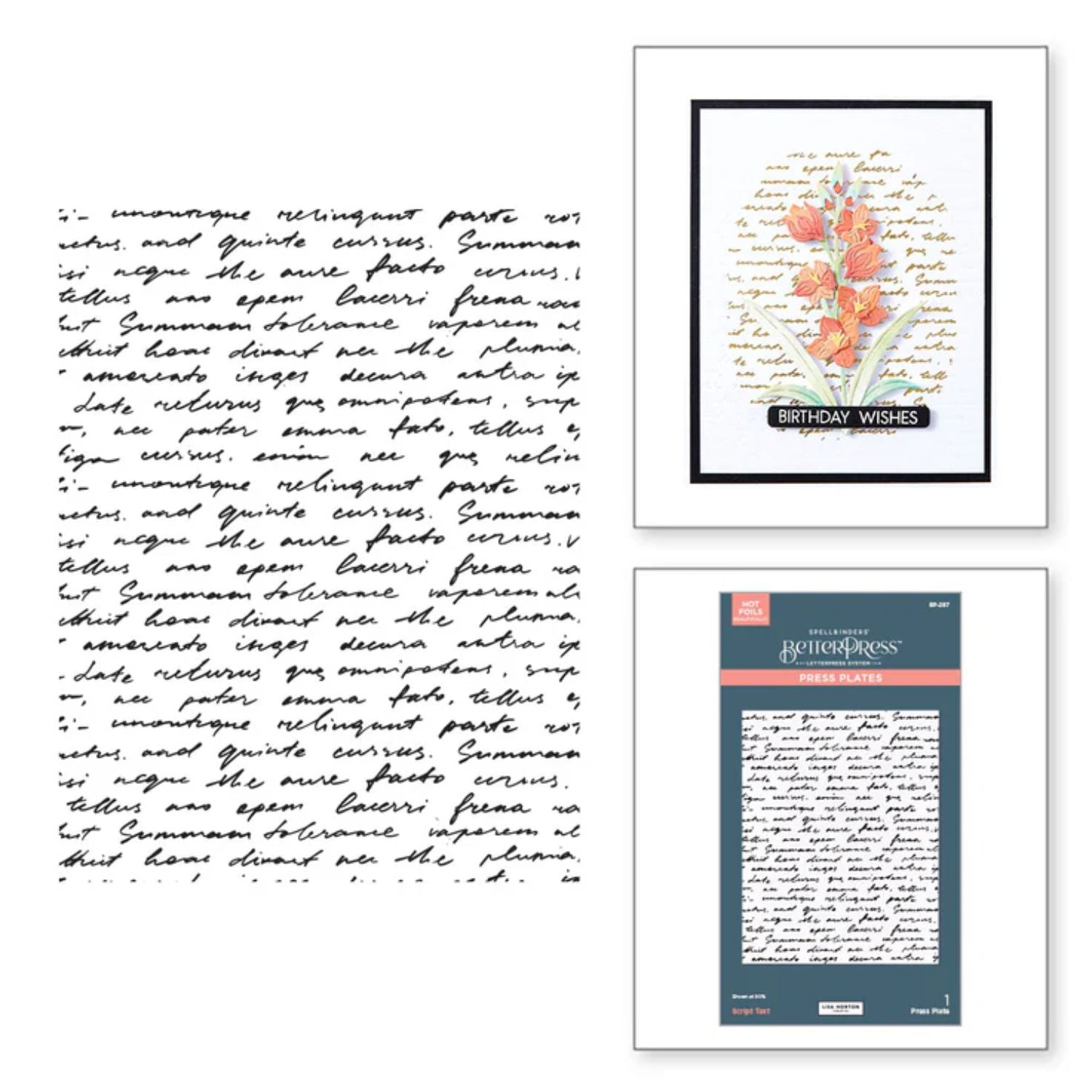 Script Text Press Plates / Placa para Estampado y Grabado Escritura Accesorios para Suajadoras Spellbinders