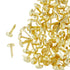 Gold Enamel Brads / Tachuelas Esmaltadas Dorado Adornos / Embellishments Darice