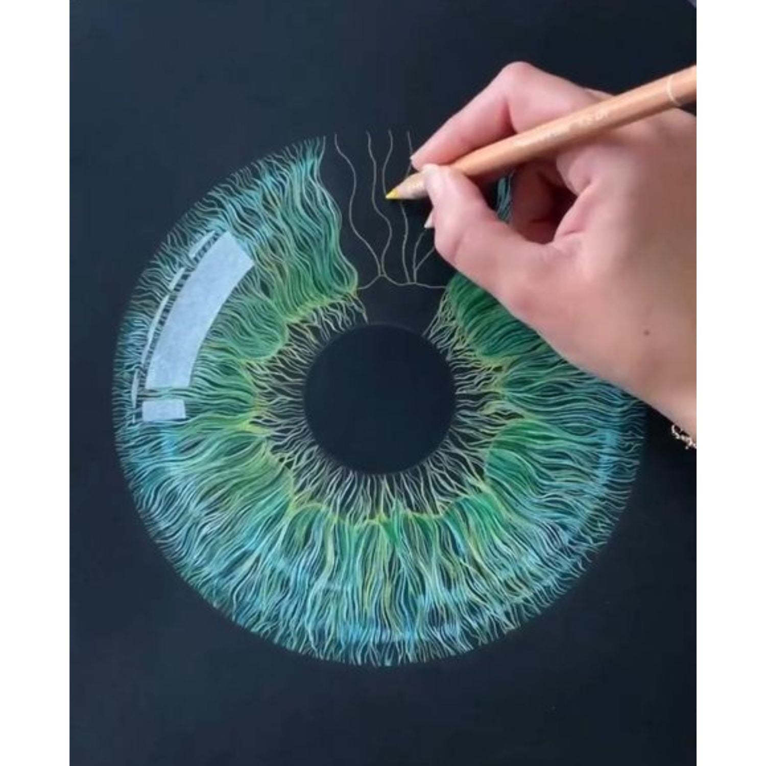 45 Colored Pencils / 45 Lápices de Colores Artísticos Colores y Plumones Bruynzeel