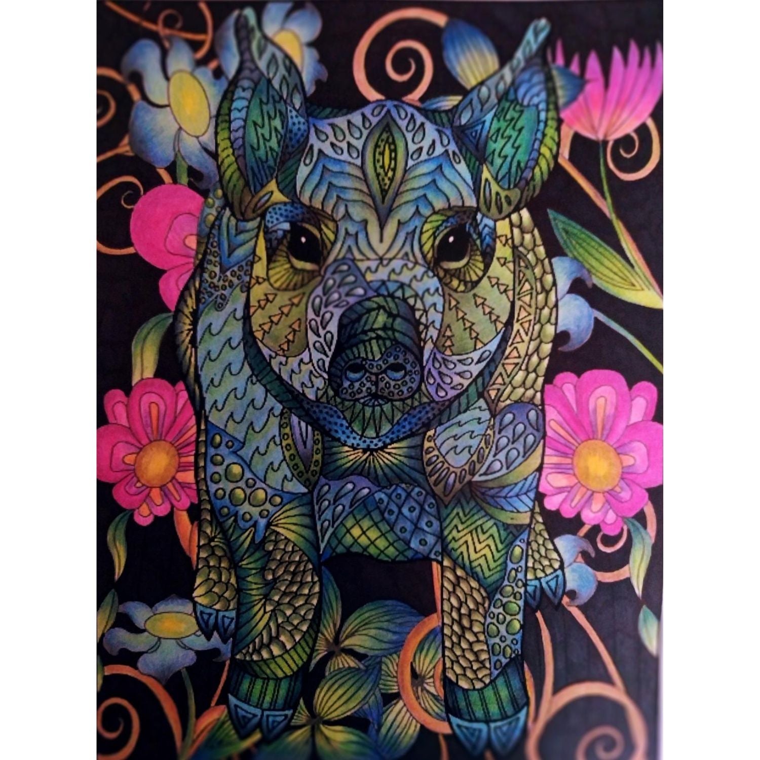 Colored Mechanical Pencils 24 pz / Lapiceros de Colores Colores y Plumones Zebra Pen