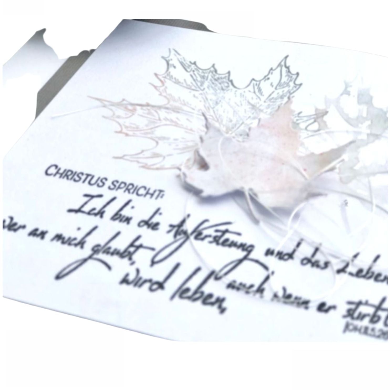 Suajes de Hoja de Maple Dados de Corte / Suajes / Troqueles Hobbees