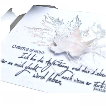 Suajes de Hoja de Maple Dados de Corte / Suajes / Troqueles Hobbees