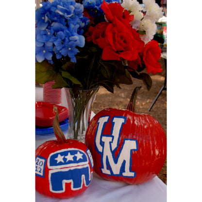 Clear Acrylic Sealer Aerosol / Sellador Acrílico Transparente Brillo Pinturas Plaid