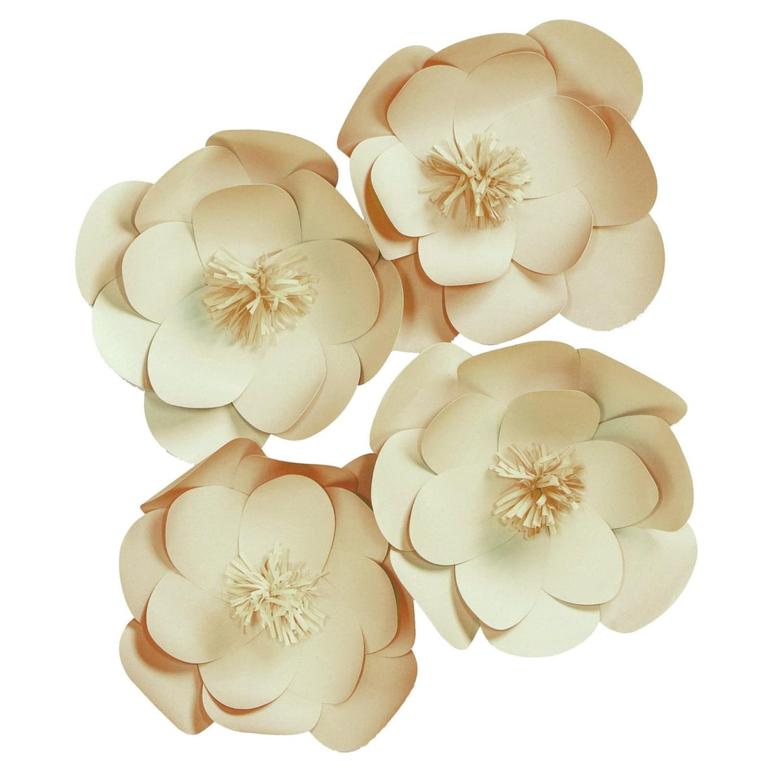 Paper Flowers Decor Kit / Kit Flores de Papel Adornos / Embellishments Darice