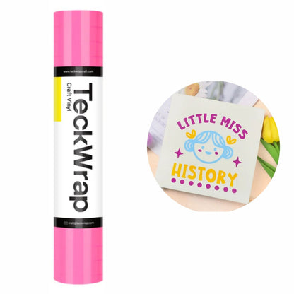 Economical Series Vinyl Glossy Neon Pink / Vinil Adhesivo Brilloso Rosa Neon Viniles Teckwrap