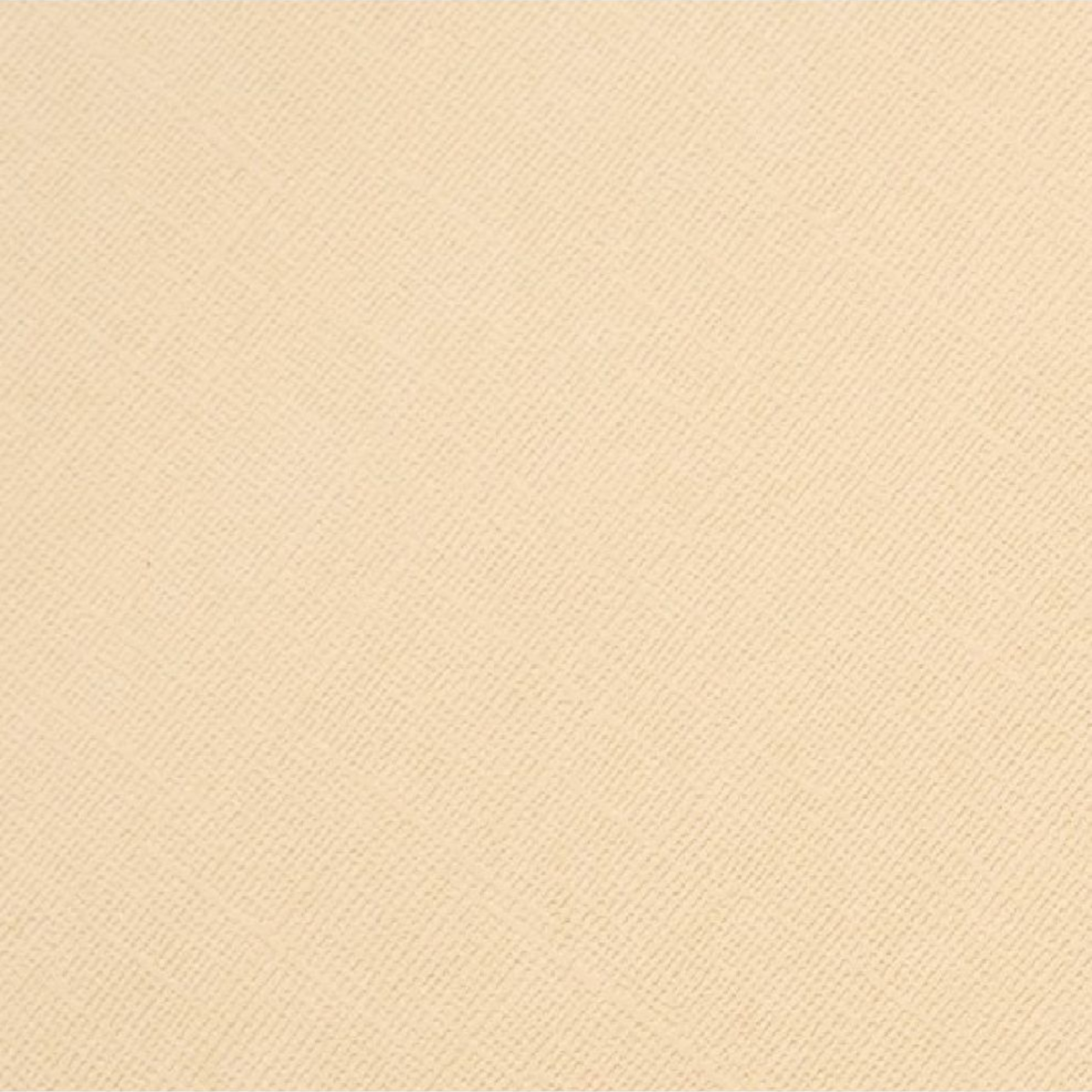 Cardstock Frappuccino Foundations / 10 Cartulinas Color Frappuccino