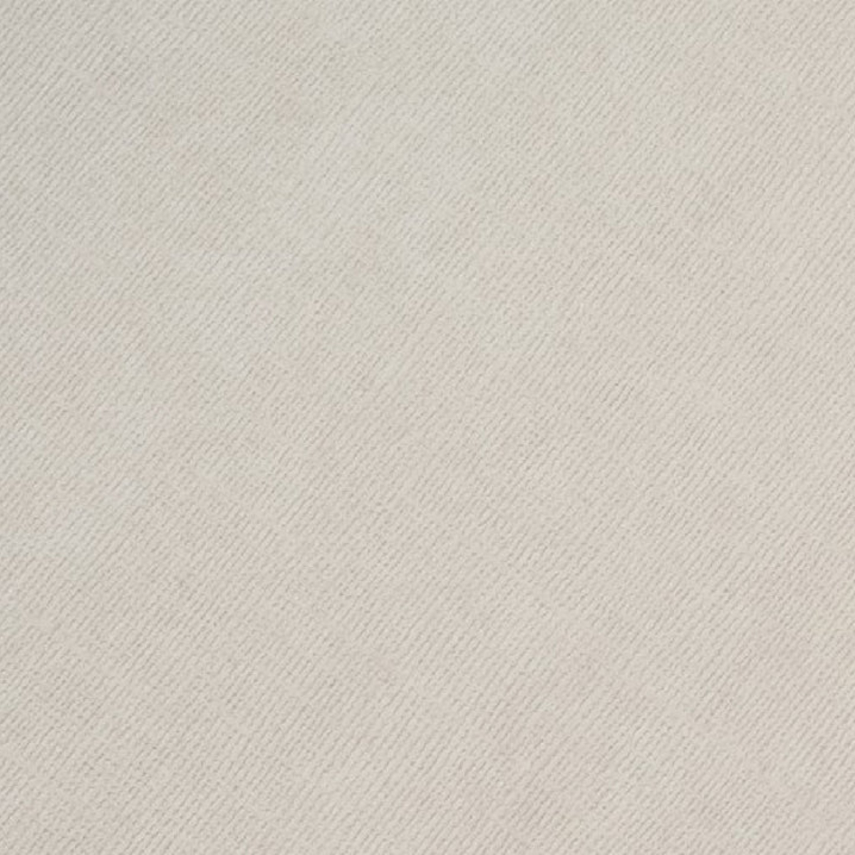 Cardstock Sea Otter Foundations / 10 Cartulinas Color Nutria
