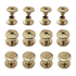 Tornillo Chicago Oro para Encuadernación 6mm Encuadernacion Hobbees