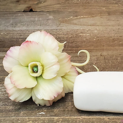 Model Air Porcelain Clay / Arcilla tipo Porcelana Secado al Aire Libre Modelado Sculpey