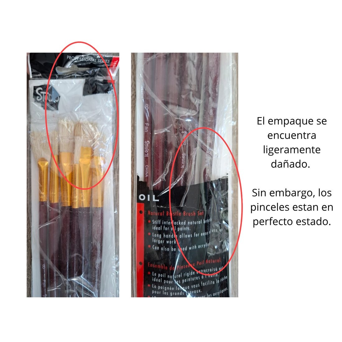EA Studio 71 Bristle Brush Set / Set de Pinceles de Cerda Natural Pinceles y Brochas Darice