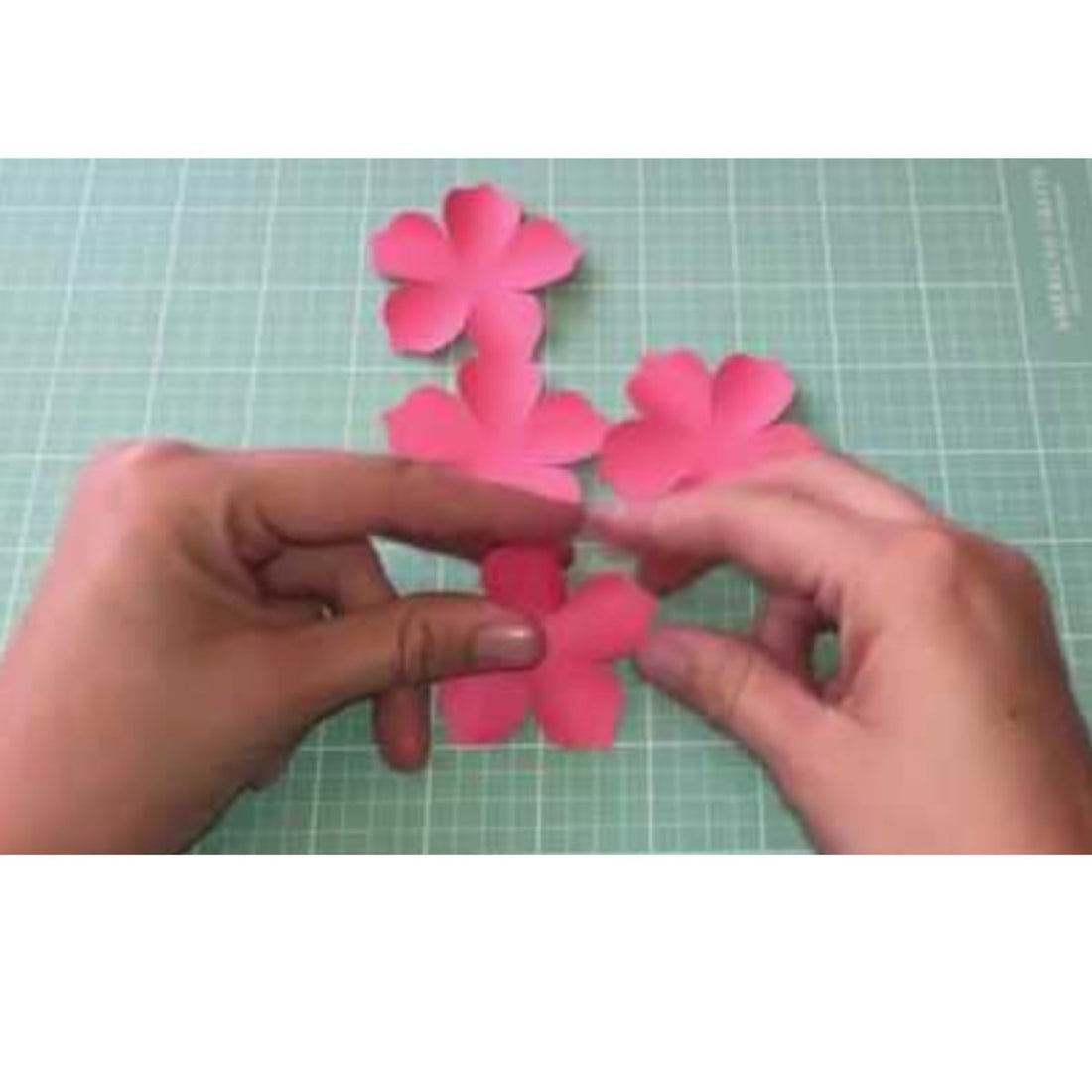 Petunia Punch / Perforadora de Petunia Perforadoras Ek Success