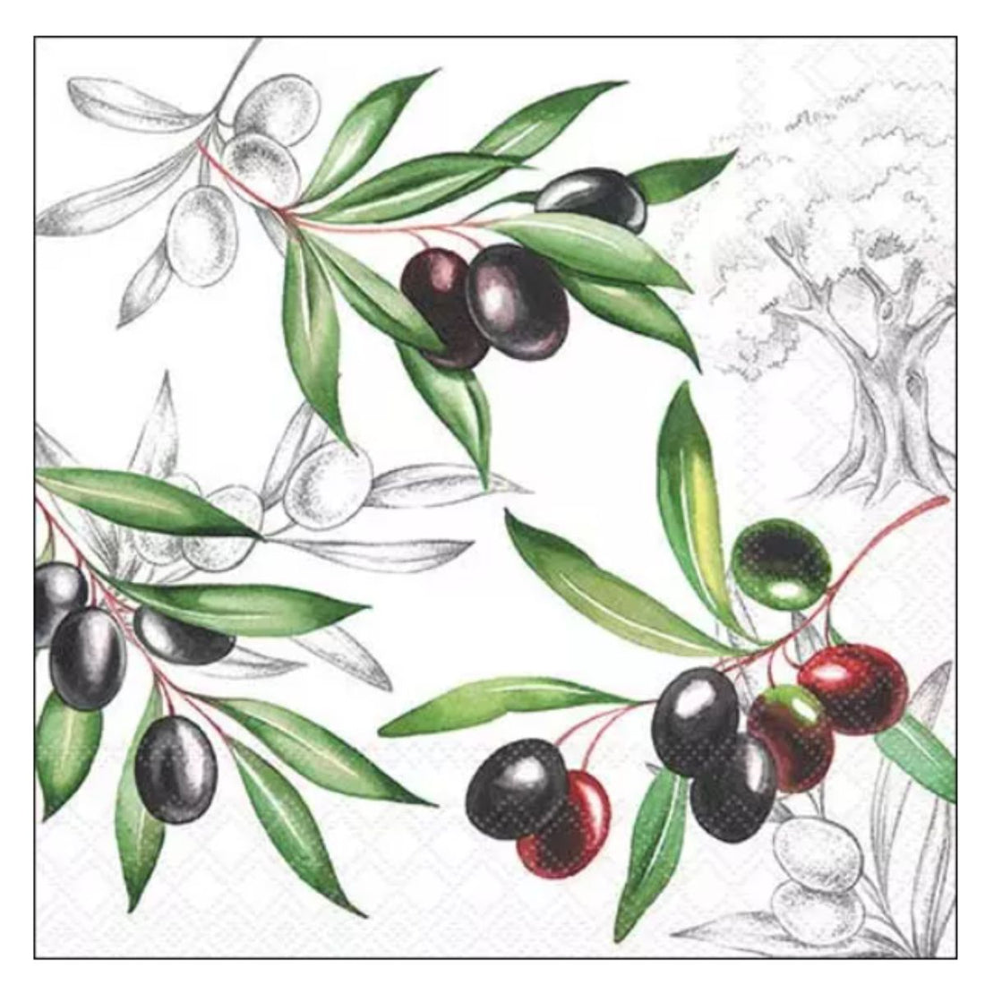 Servilleta de Papel Olives 