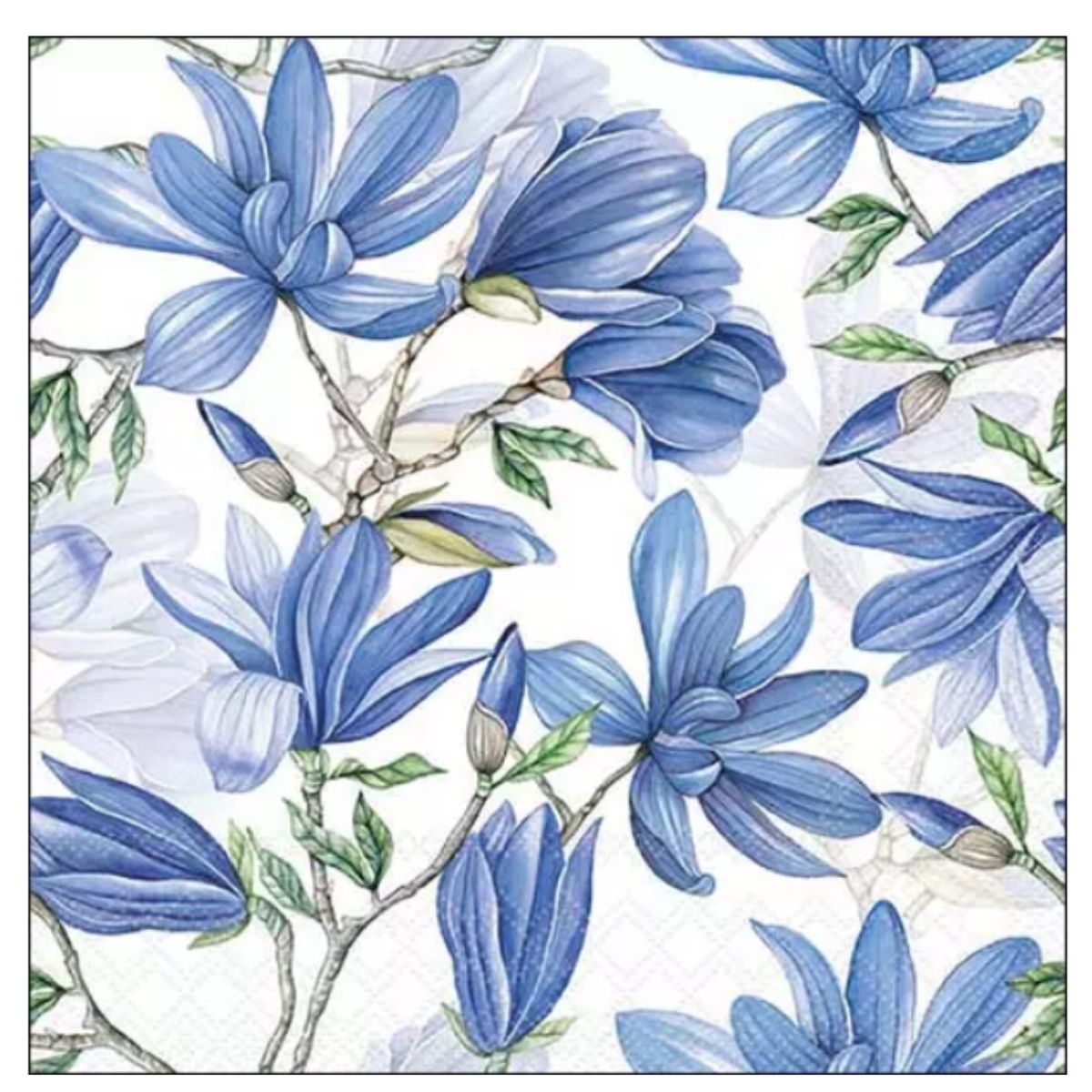 Servilleta de Papel Magnolia Acuminata White 