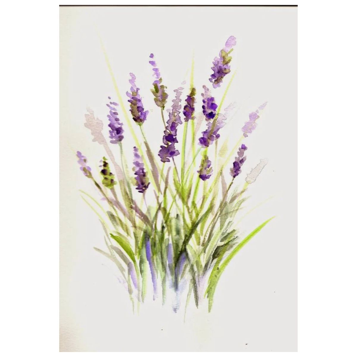 Watercolor Pencils and Paints / Lapices y Acuarelas Acuarela Royal Langnickel