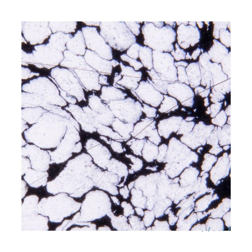 One Hundred &amp; One Embossing Powder / Polvo de Embossing Ciento Uno Polvos de Embossing Wow!