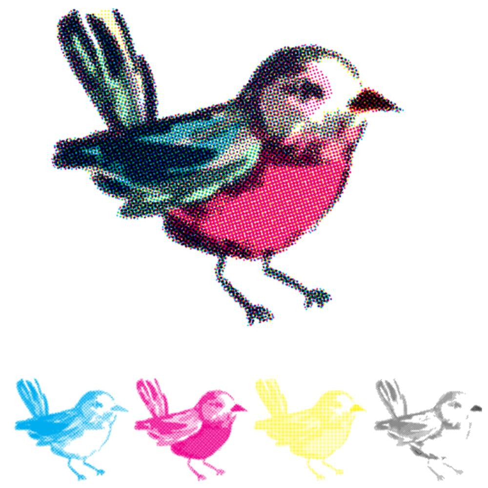 CMYK Bird Stamps / Sellos de Polímero para usarse en Capas