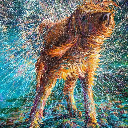 12 Oil Paints / Set de 12 Tubos de Óleo Òleos Art Supply Basics