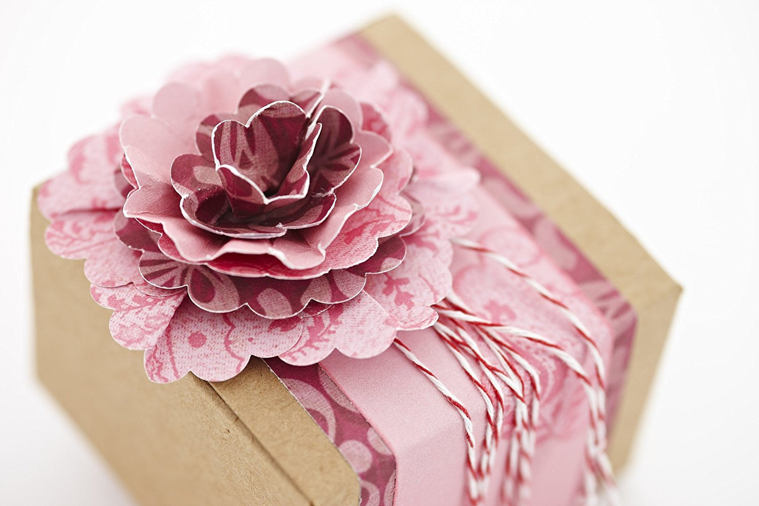 2 1/4&quot; Scallop Circle Large Punch / Perforadora de Círculo de Onditas 5.7 cm Perforadoras Ek Success