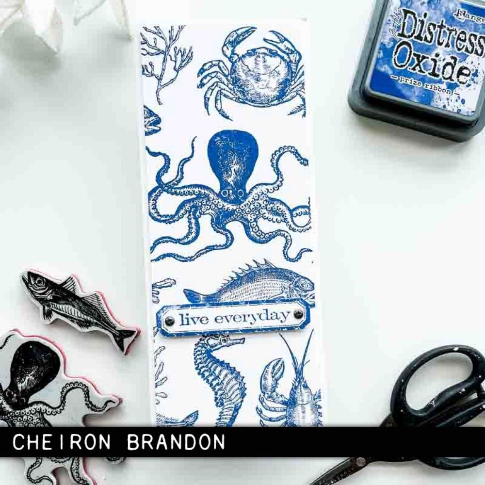 Tim Holtz Distress Ink Prize Ribbon / Tinta para Sellos Azul Tintas Ranger