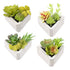 Potted Succulent / Suculentas de Ornato Descontinuado Darice