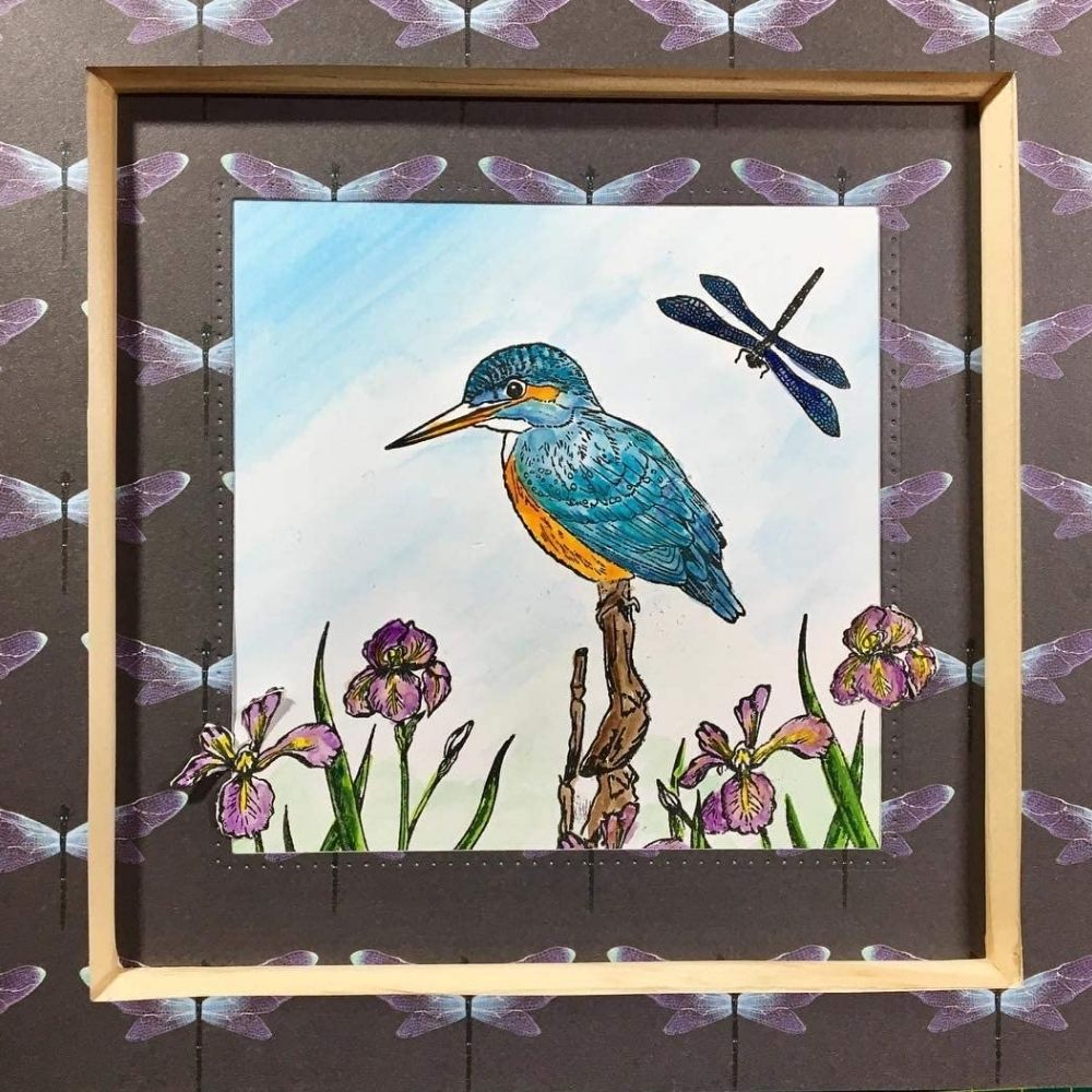 Kingfisher Stamps / 5 Sellos Pajaritos Descontinuado Craft Consortium