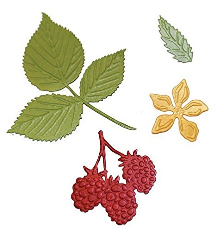 Brambles Die / Suaje de Moras Descontinuado Sheena Douglass