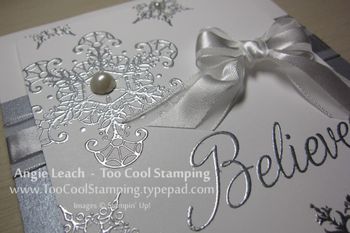 Embossing Powder Silver Moonlight / Polvo de Realce Plateado Polvos de Embossing Nuvo