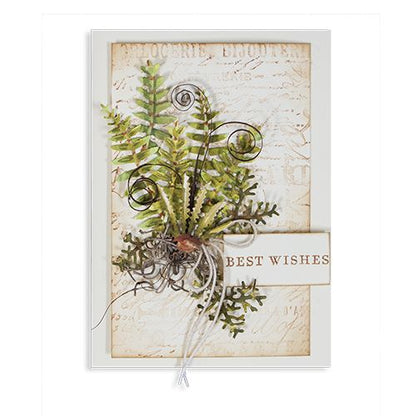 Shapeabilities Die D-Lites Ferns  / Suaje de Helechos Descontinuado Spellbinders