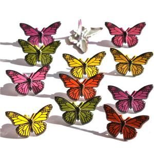 Colorful Butterflies / Brads de Mariposas de Colores