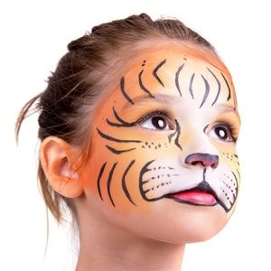 Snazaroo Face Painting Kit Boy Wild Faces / Pintura Facial Caras Salvajes Descontinuado Snazaroo