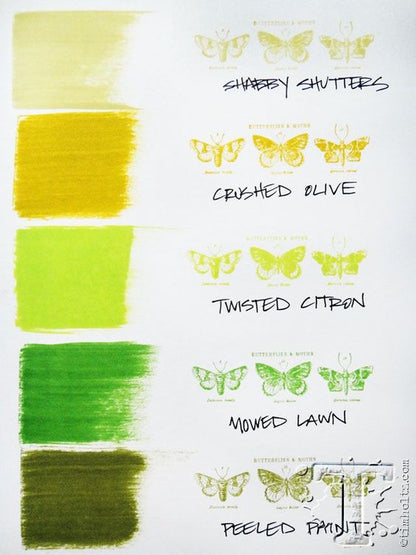 Tim Holtz -Distress Stain Twisted Citron / Tinta Verde (Limón) Pintura y Medios Mixtos Ranger