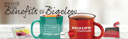 Toasted Coconut Almond Bark Black Tea / Té Negro con Coco y Almendra Coffee Time Bigelow