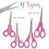 Cutup Scissors / Set de 4 Tijeras Rosas Tijeras / Cutters American Crafts