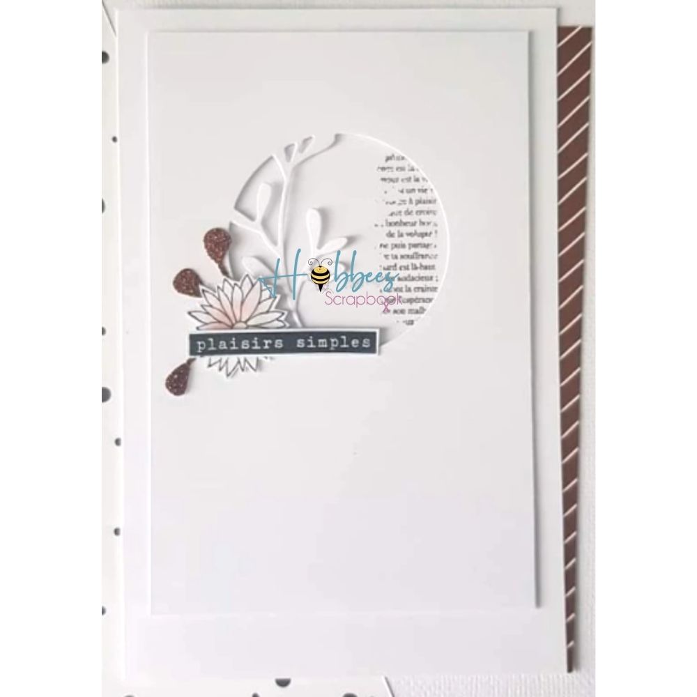 Suajes de Círculos Decorativo con Libelula Dados de Corte / Suajes / Troqueles Hobbees