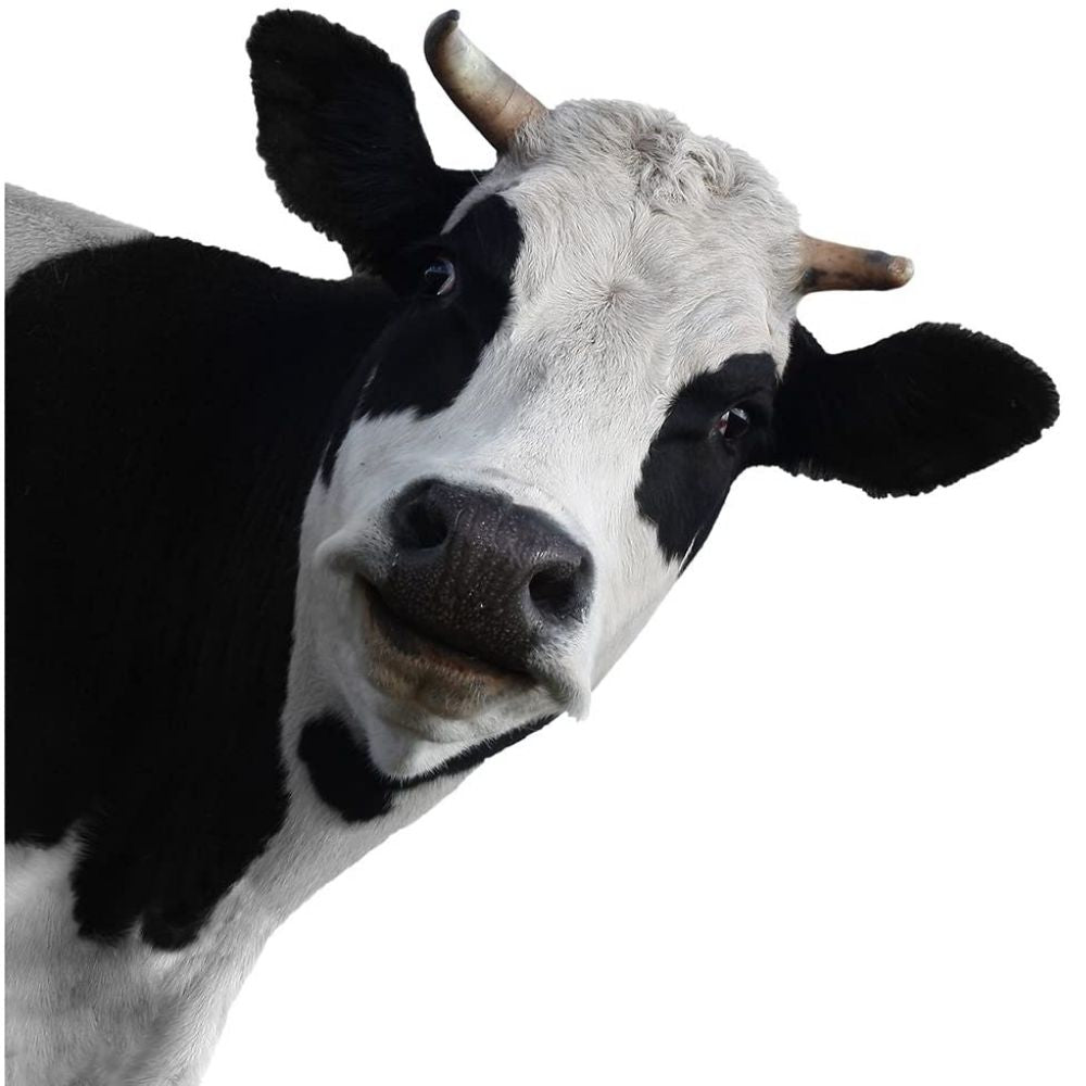 Joy Riders Cow Window Cling / Cling Adherible para Ventanas Vaca Descontinuado JustRite