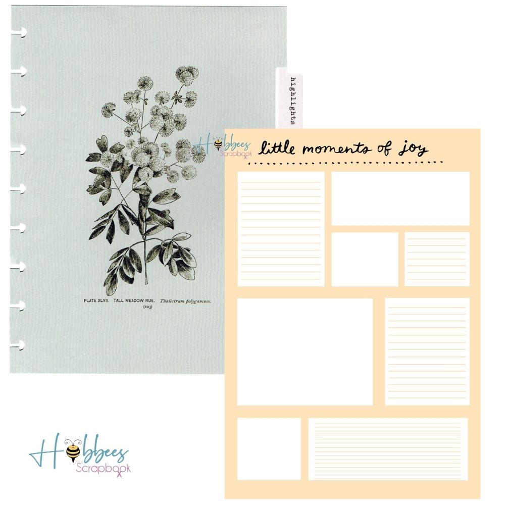 Day to Day Undated Freestyle Planner / Agenda Planificadora DESCONTINUADO Maggie Holmes