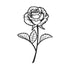 Embossing Single Rose / Folder de Grabado Rosa Folders de Grabado Darice