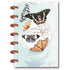 Happy Planner Faith Undated Mini Planner /  Agenda Planificadora 12 Meses de Fé Descontinuado Me & My Big Ideas
