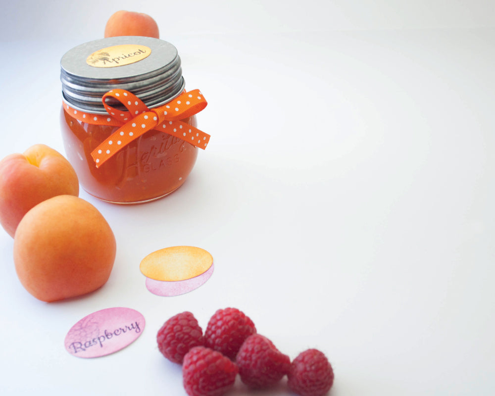 SlimLock Large Punch Oval / Perforadora de Ovalo Gde. Descontinuado Punch Bunch