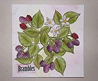 Brambles Die / Suaje de Moras Descontinuado Sheena Douglass