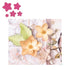 5 Petal Pointed Flower Die / Suaje de Flor de 5 Petalos con Punta Dados de Corte / Suajes / Troqueles Dress My Craft